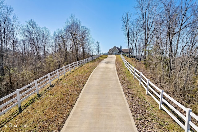 view of road with concrete driveway