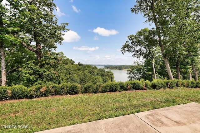2356 Coaster Way, Sevierville, TN 37876 - water view