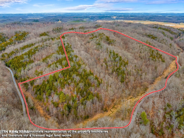 0 Phillip Hollow Rd, Bybee TN, 37713 land for sale