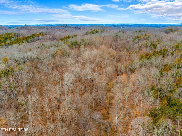 Listing photo 3 for 0 Phillip Hollow Rd, Bybee TN 37713