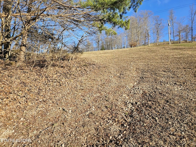 Berry Rd, Andersonville TN, 37705 land for sale