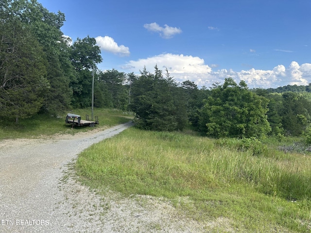 W Vinegar Valley Rd, Friendsville TN, 37737 land for sale