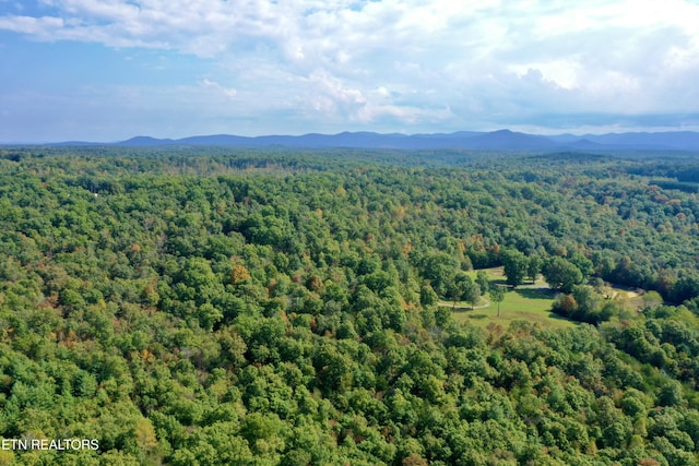 Deer Lodge Hwy, Deer Lodge TN, 37726 land for sale