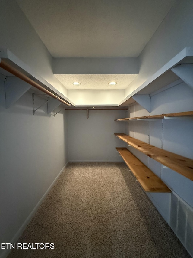 7000 Big Horn Dr Unit A-3, Crossville, TN 38572 - walk in closet featuring carpet floors