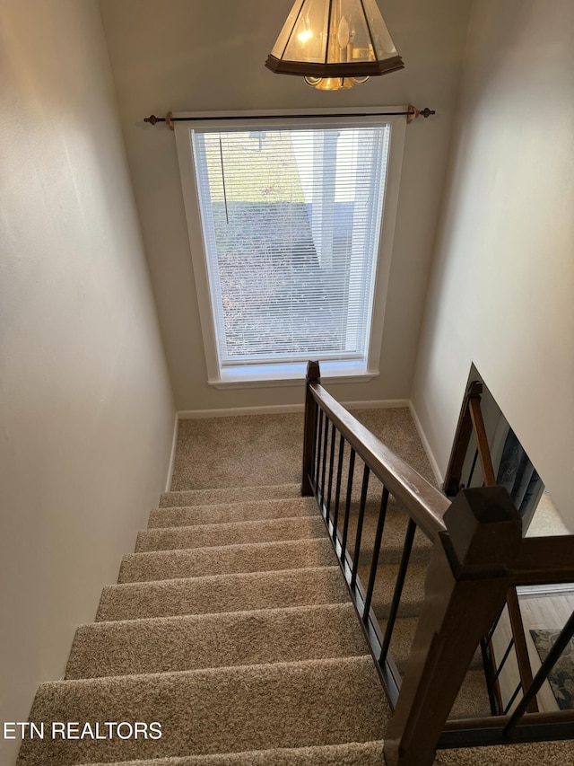 7000 Big Horn Dr Unit A-3, Crossville, TN 38572 - stairs featuring carpet flooring and baseboards