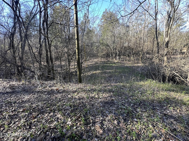 Listing photo 3 for LOT41 Hvn Hill Rd, Louisville TN 37777