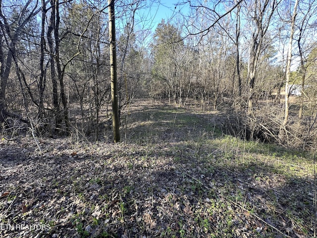 LOT41 Hvn Hill Rd, Louisville TN, 37777 land for sale