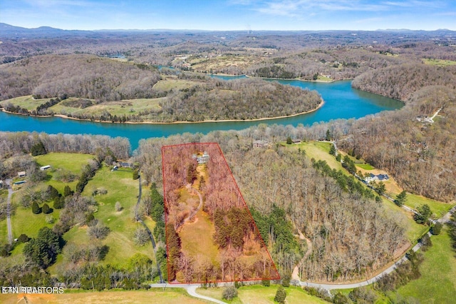 bird's eye view with a wooded view and a water view