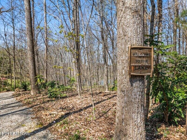 view of yard featuring a wooded view