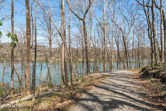 property view of water featuring a wooded view