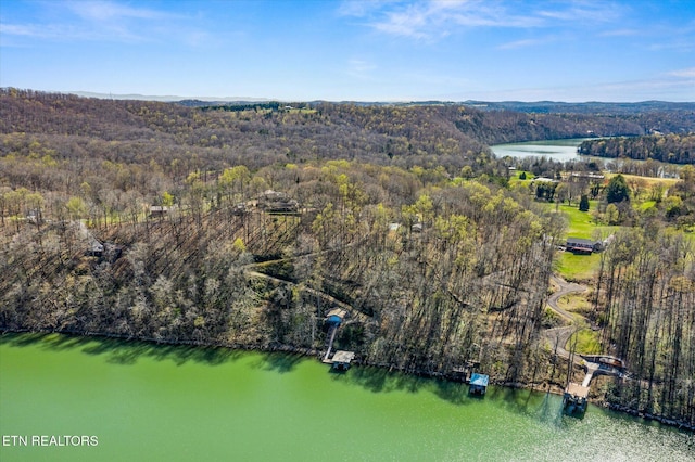 birds eye view of property with a view of trees and a water view