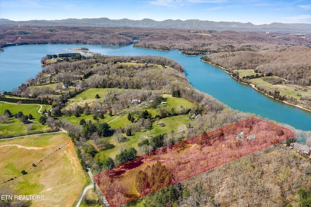 birds eye view of property with a water and mountain view