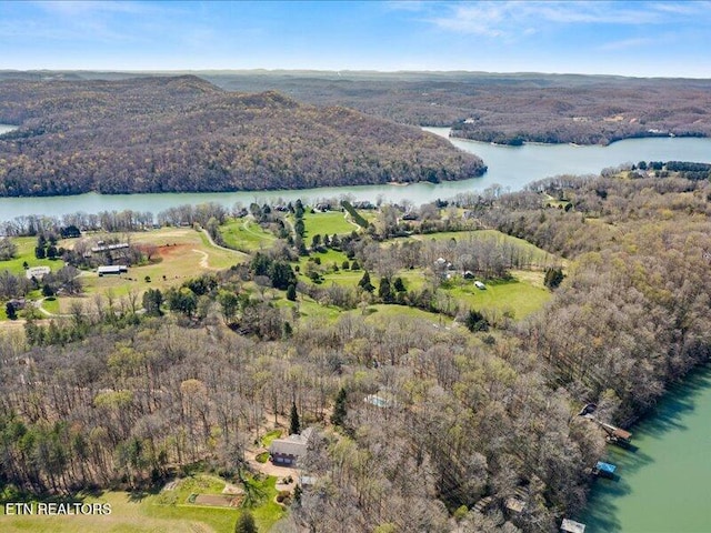 birds eye view of property featuring a water view and a view of trees