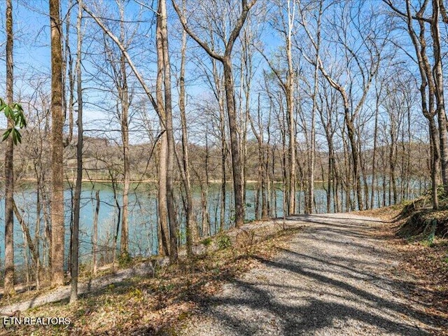 property view of water with a wooded view