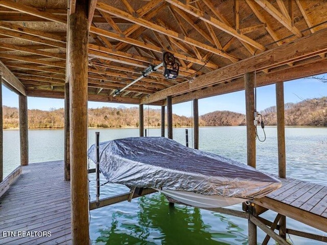 dock area with a water view