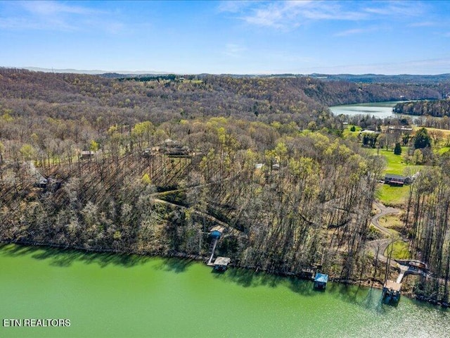 aerial view featuring a forest view and a water view