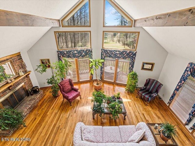 living room featuring lofted ceiling, wood finished floors, and a fireplace