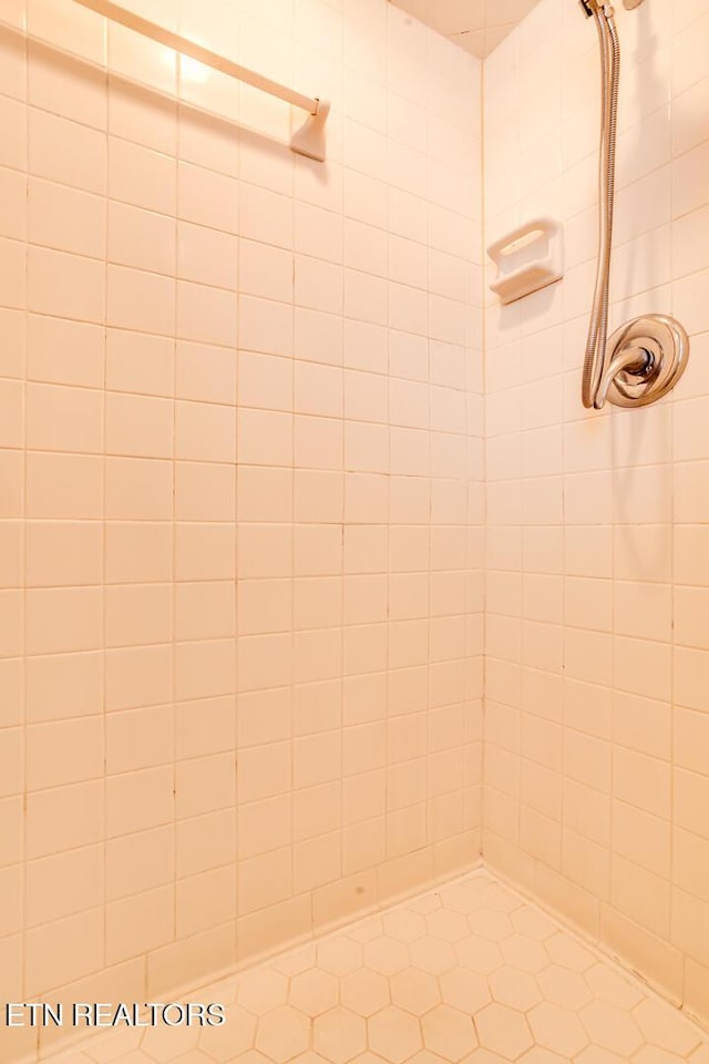 interior details featuring tiled shower