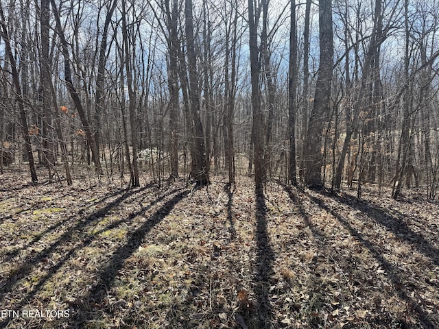 Davidson Dr, Monterey, TN 38574