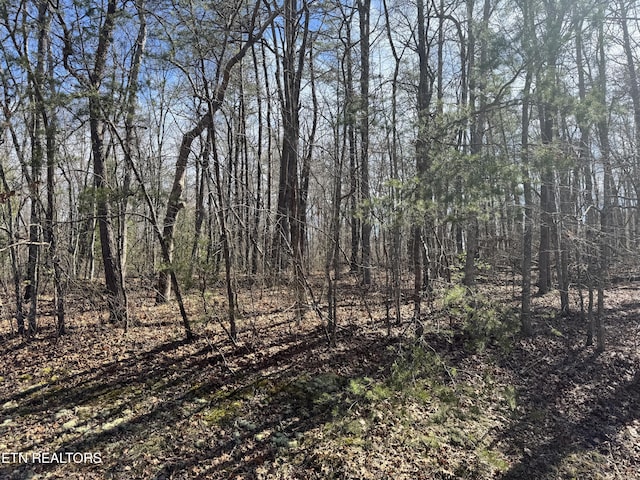 N Laurel Loop, Monterey TN, 38574 land for sale