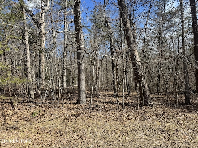 Cumberland Lakes Dr, Monterey TN, 38574 land for sale