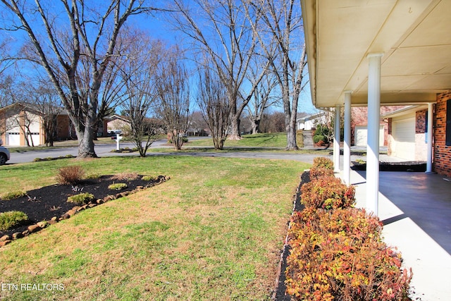 view of yard with a carport