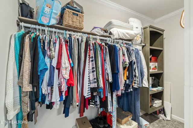 walk in closet with carpet