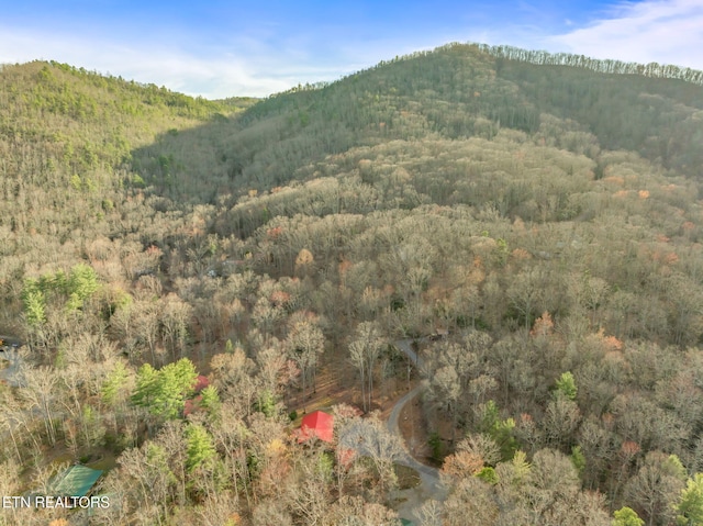 view of mountain feature featuring a view of trees