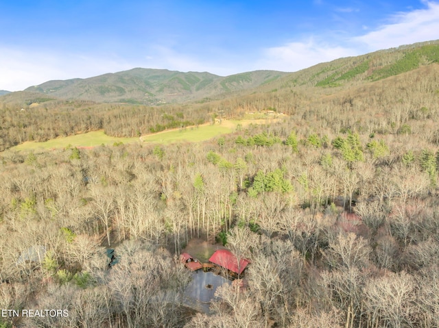 property view of mountains