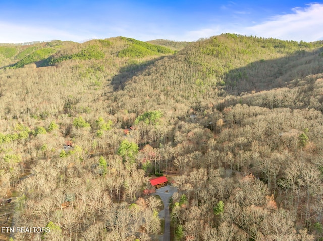 property view of mountains featuring a wooded view