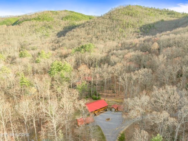 view of mountain feature with a view of trees