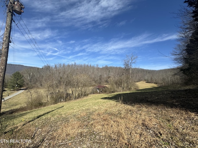 Listing photo 3 for Water St, Speedwell TN 37870