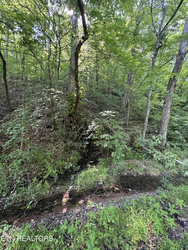 Water St, Speedwell, TN 37870 - photo 40
