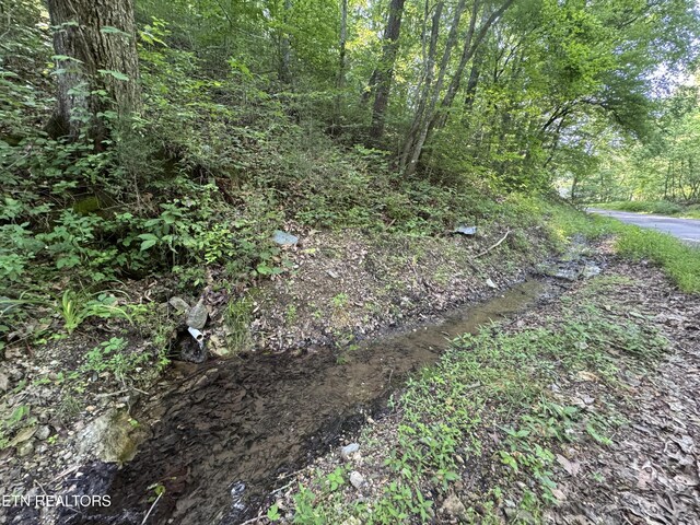 Water St, Speedwell, TN 37870 - photo 6
