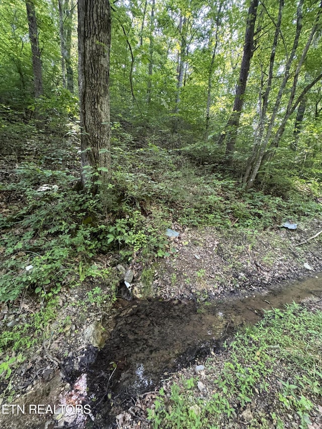 Water St, Speedwell, TN 37870 - photo 42