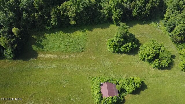 Water St, Speedwell, TN 37870 - photo 4