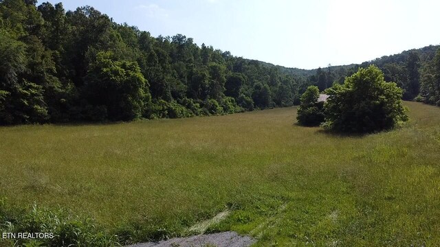 Water St, Speedwell, TN 37870 - photo 3