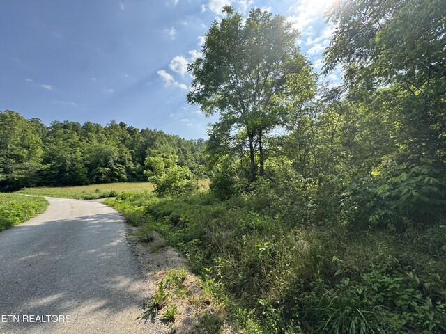 Water St, Speedwell, TN 37870 - photo 44