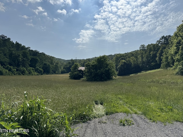 Water St, Speedwell, TN 37870 - photo 45