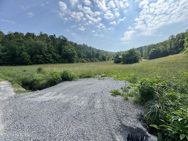 Water St, Speedwell, TN 37870 - photo 7