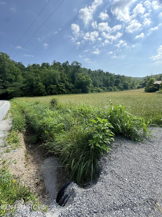 Water St, Speedwell, TN 37870 - photo 46