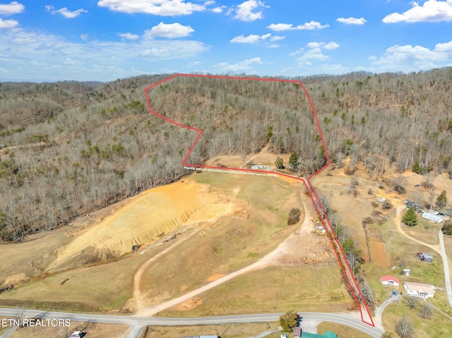 465 Bull Run Rd, Luttrell TN, 37779 land for sale