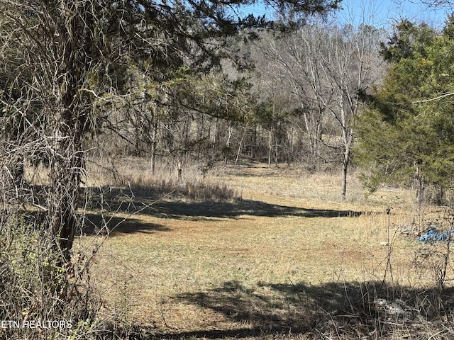 W Union Valley Rd, Seymour TN, 37865 land for sale