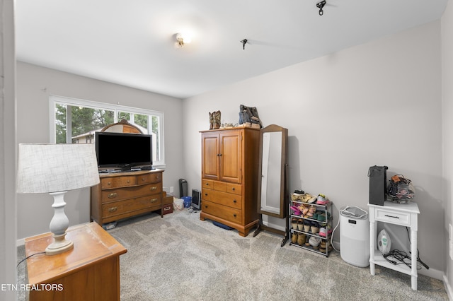 bedroom featuring light colored carpet