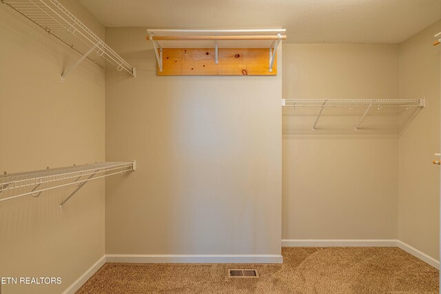 spacious closet featuring visible vents and carpet flooring