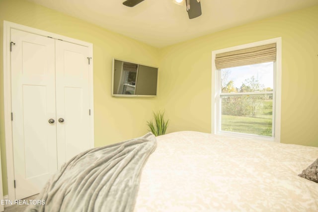 bedroom featuring a closet and ceiling fan