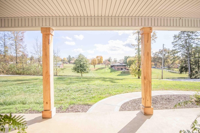 view of yard featuring a patio area