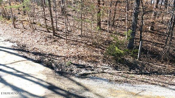 Listing photo 2 for 0 Old Oliver Rd, Walland TN 37886