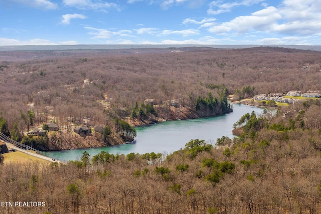 drone / aerial view with a water view and a forest view