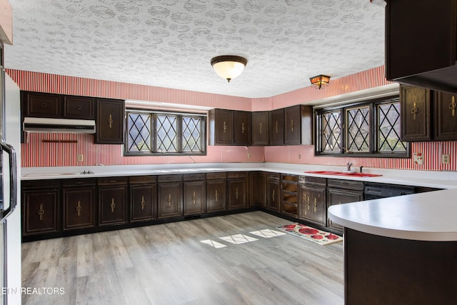 kitchen featuring light wood-style floors, a healthy amount of sunlight, light countertops, and a sink